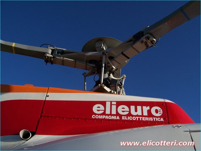 elifoto (9)